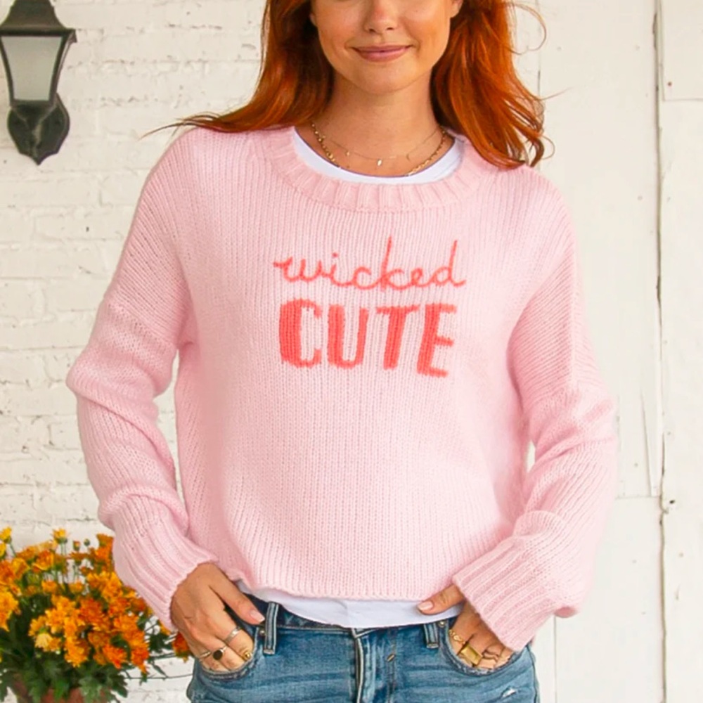 NWT Wooden Ships sweater